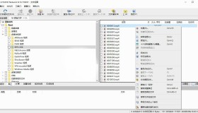 PC数据恢复 R-Studio v8.15