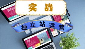 日IP量1600+，年赚百万，揭秘独立站运营项目的5个关键点！