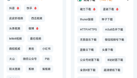 短视频解析助手(支持100+个平台）