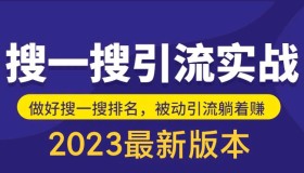 自己花980买的，公众号搜一搜引流实训课（外面没有）日引200+