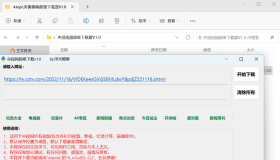央视视频超级下载工具V1.0