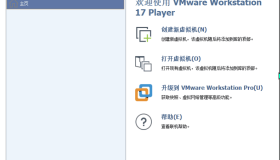 精简版虚拟机VMware Workstation Player 17.5.2.23775571