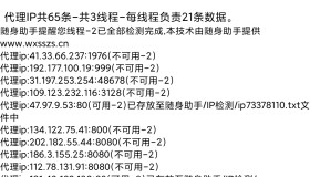 批量代理IP检测proxyip安卓版1.0