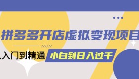 拼多多开店虚拟变现项目：入门到精通 从小白到日入1000（完整版）6月14更新