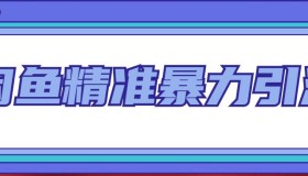 闲鱼精准暴力引流全系列课程，每天被动精准引流100+粉丝