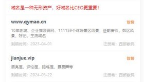 勇帅米表系统_域名展示出售系统 PC+H5双端自适应页面