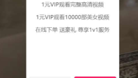 随机短视频引流程序源码 视频打赏+支付接口+教程