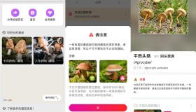 你不中毒的神器 蘑菇识别APP