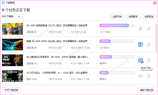 B 站视频下载器 Bili23-Downloader v1.55.0 新春版，支持自动高音画质